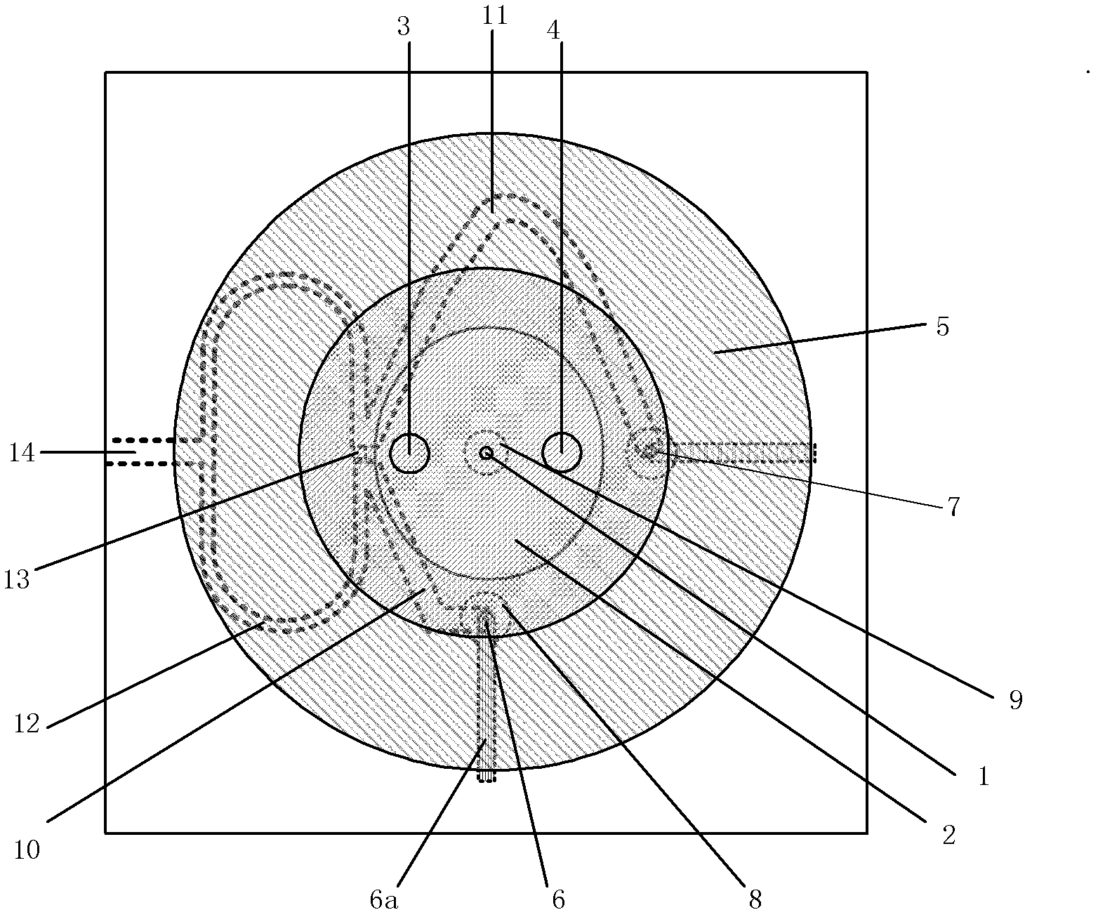 Dual-polarized multi-system compatible antenna