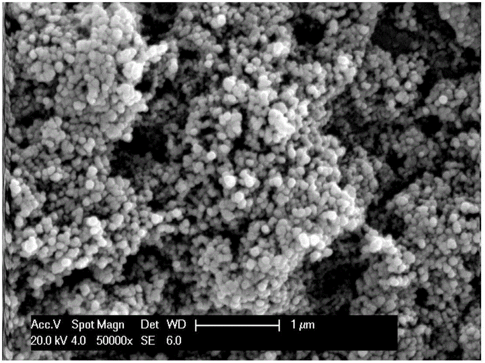 Super-hydrophilic particle hybridized super-hydrophobic coating and preparation method thereof