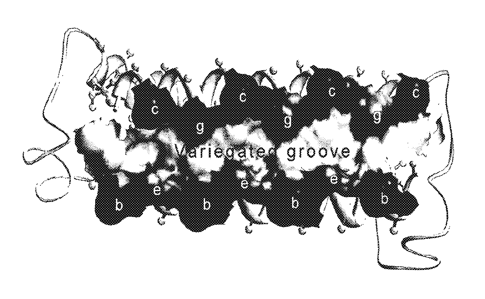 Alphabody libraries and methods for producing the same