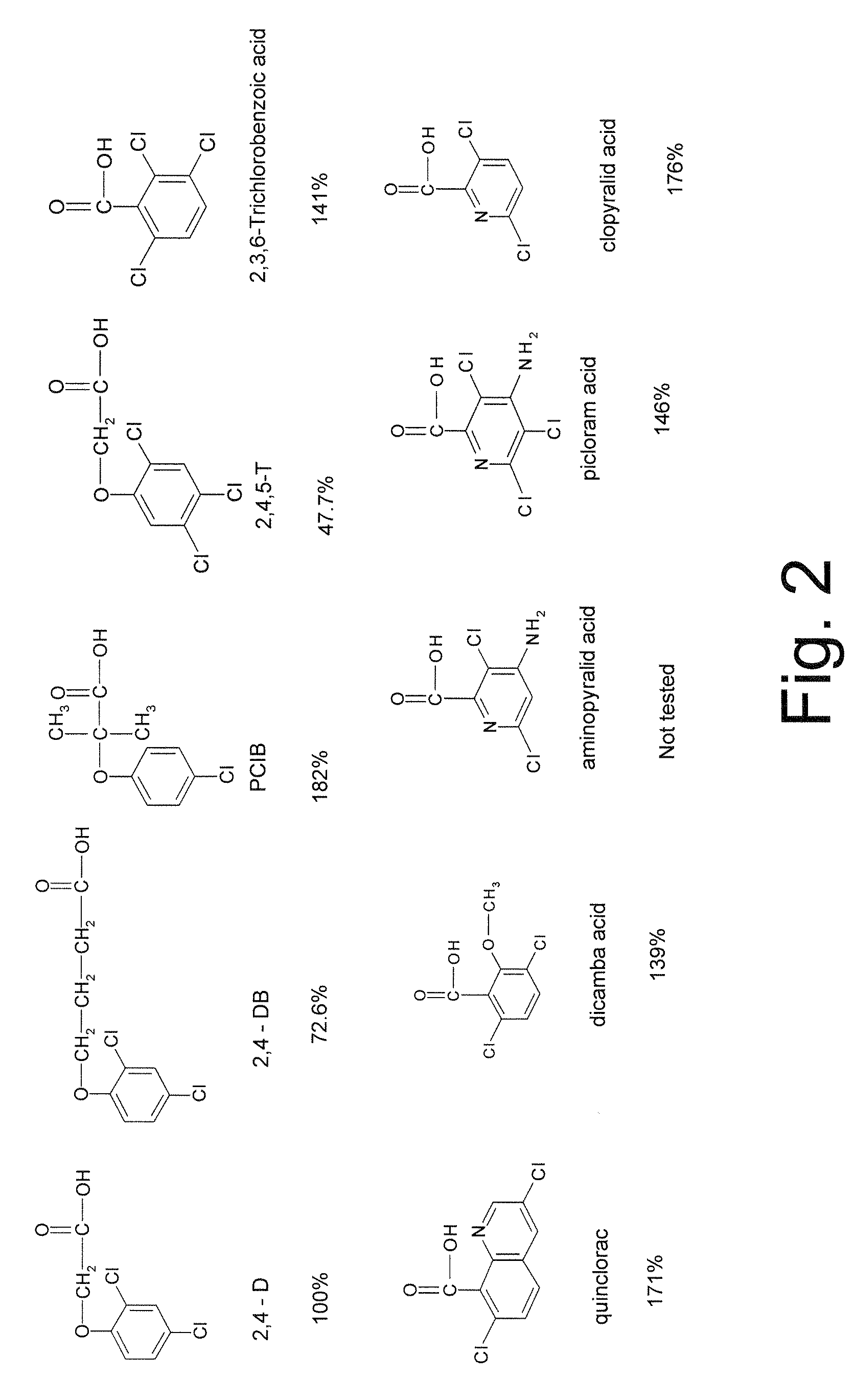 Herbicide resistance gene