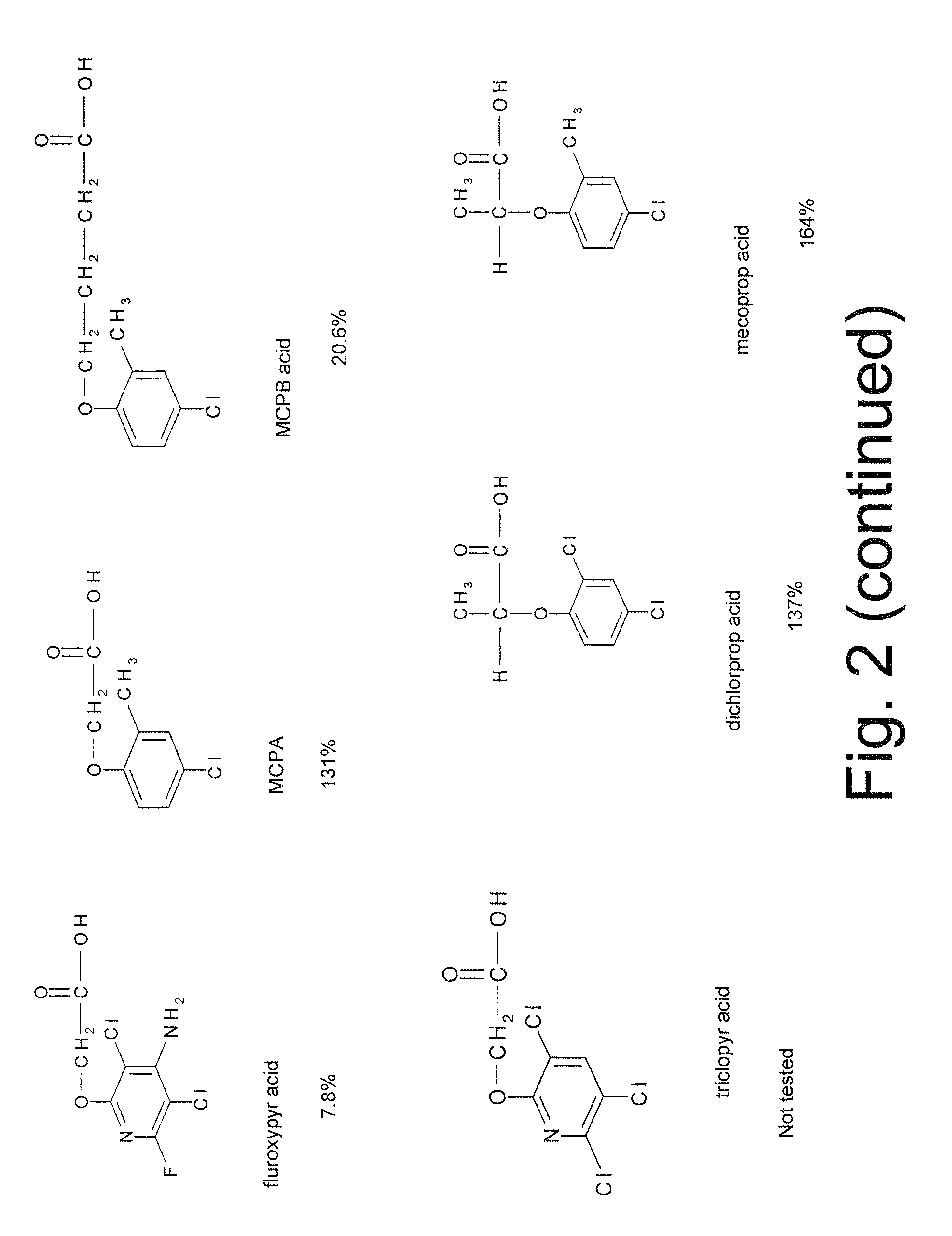 Herbicide resistance gene