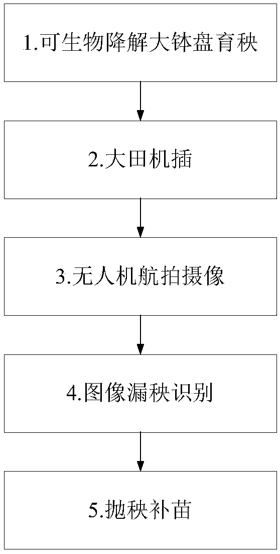 Machine transplanted seedling missing identification and gap-filling method