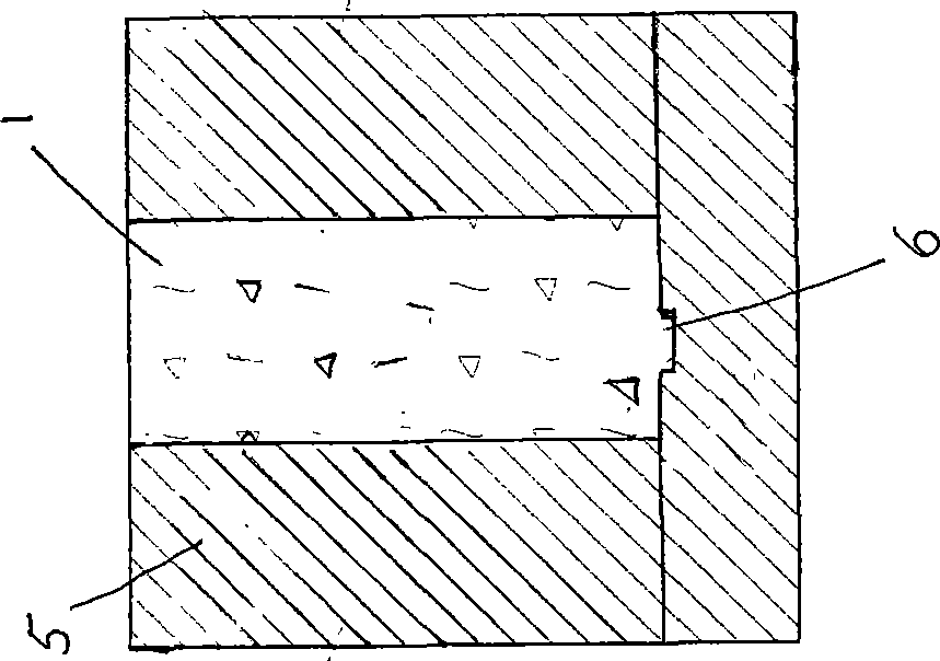 Seepage deformation test method for hydropower station dam coastal construction soft rock zone