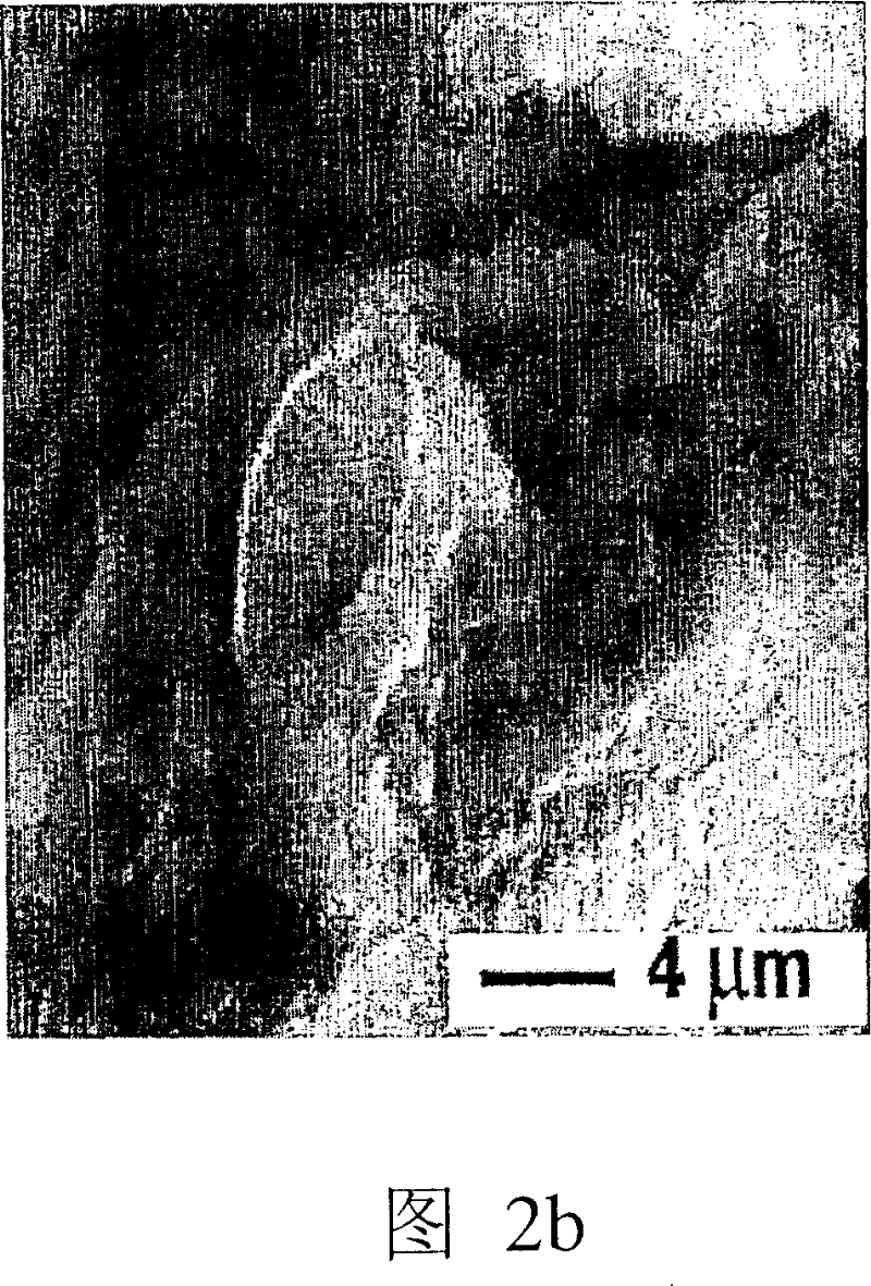 Method for soil remediation and engineering