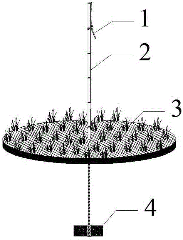 Depth-adjustable submerged plant planting plate