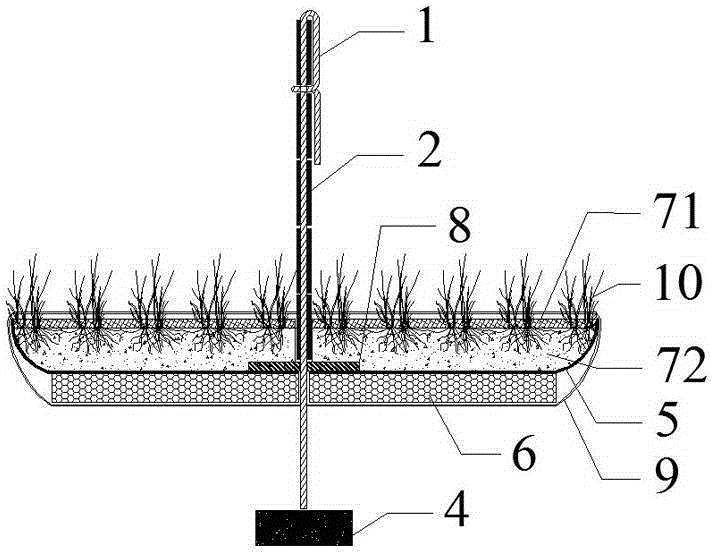 Depth-adjustable submerged plant planting plate