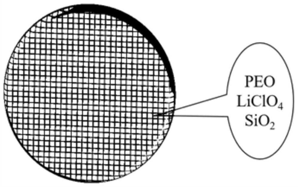 Solid-state polymer electrolyte membrane with grid structure, and preparation method thereof