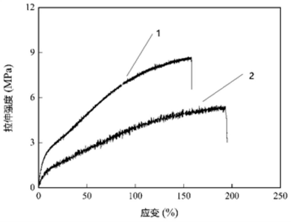 Solid-state polymer electrolyte membrane with grid structure, and preparation method thereof