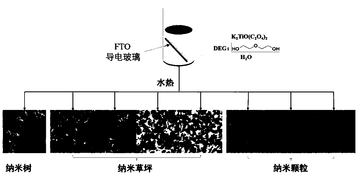 TiO2 photoelectric material having different nano morphologies and prepared by utilizing one-step hydrothermal method, and preparation method and application of TiO2 photoelectric material