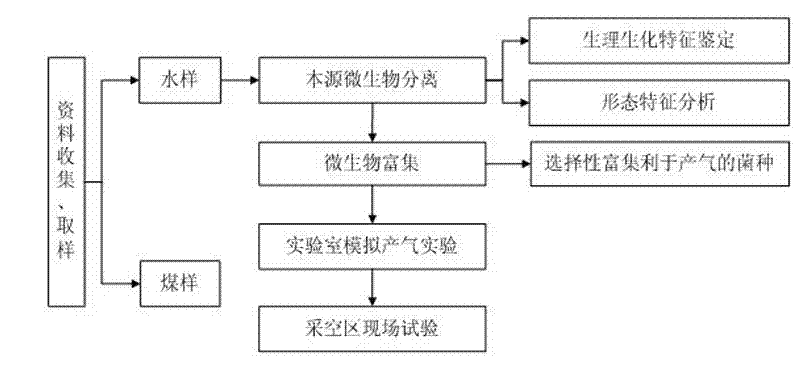 Method for preparing biogas by degrading coal with microorganisms