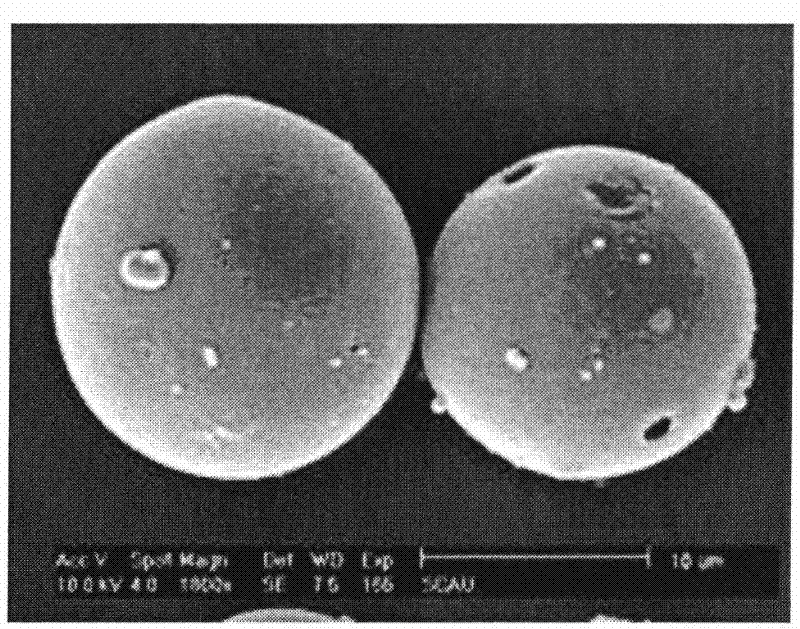 Blumea oil microcapsule antibacterial mask and preparation method thereof