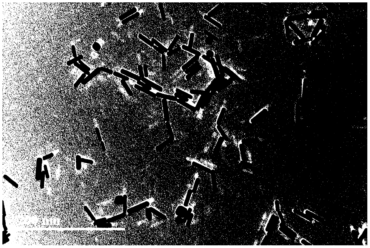 Composite nanomaterial and preparation method and application thereof