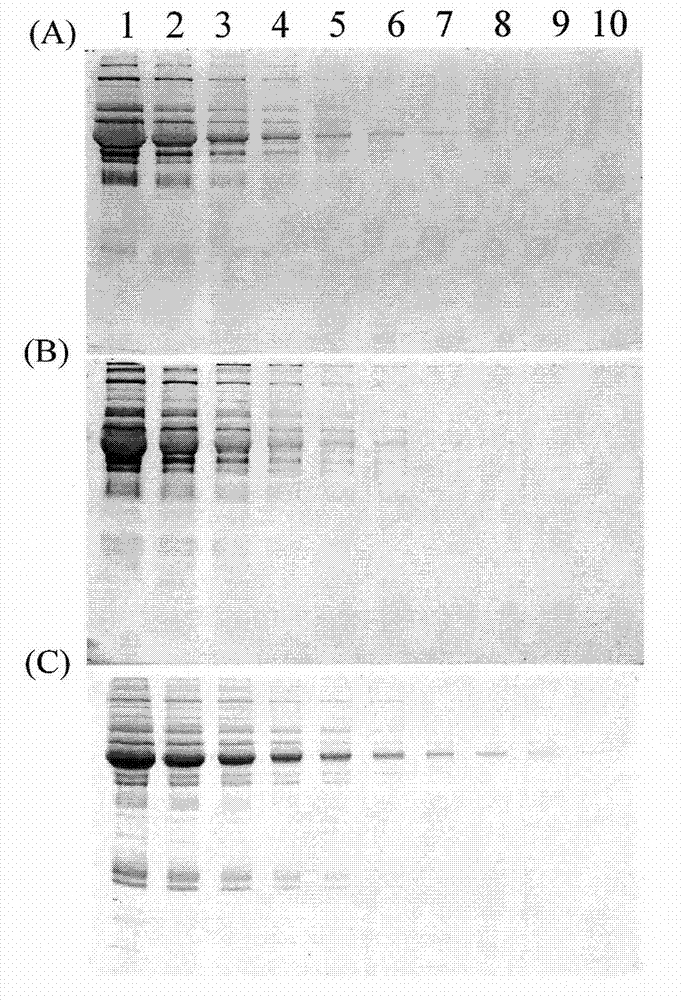 Application of 4h-[1]-benzopyran[4,3-b]thiophene-2-carboxylic acid hydrazide and its derivatives in specific fluorescence detection of glycoproteins