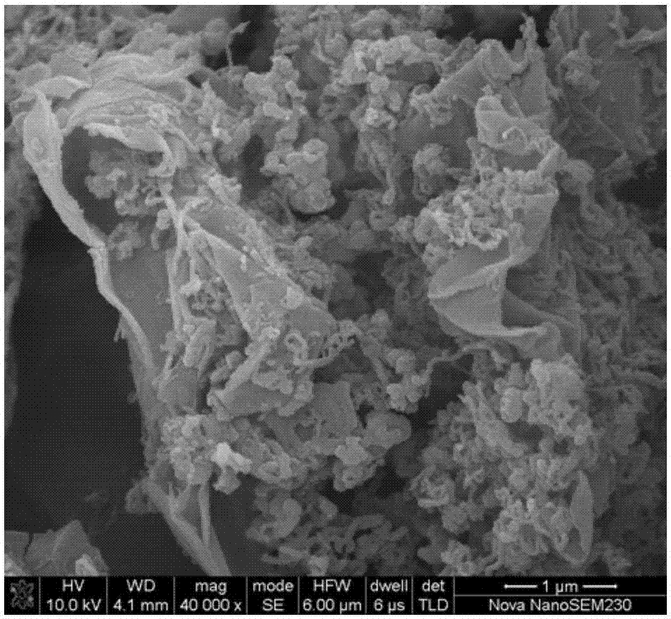 A kind of preparation method of flexible positive electrode of lithium-sulfur battery