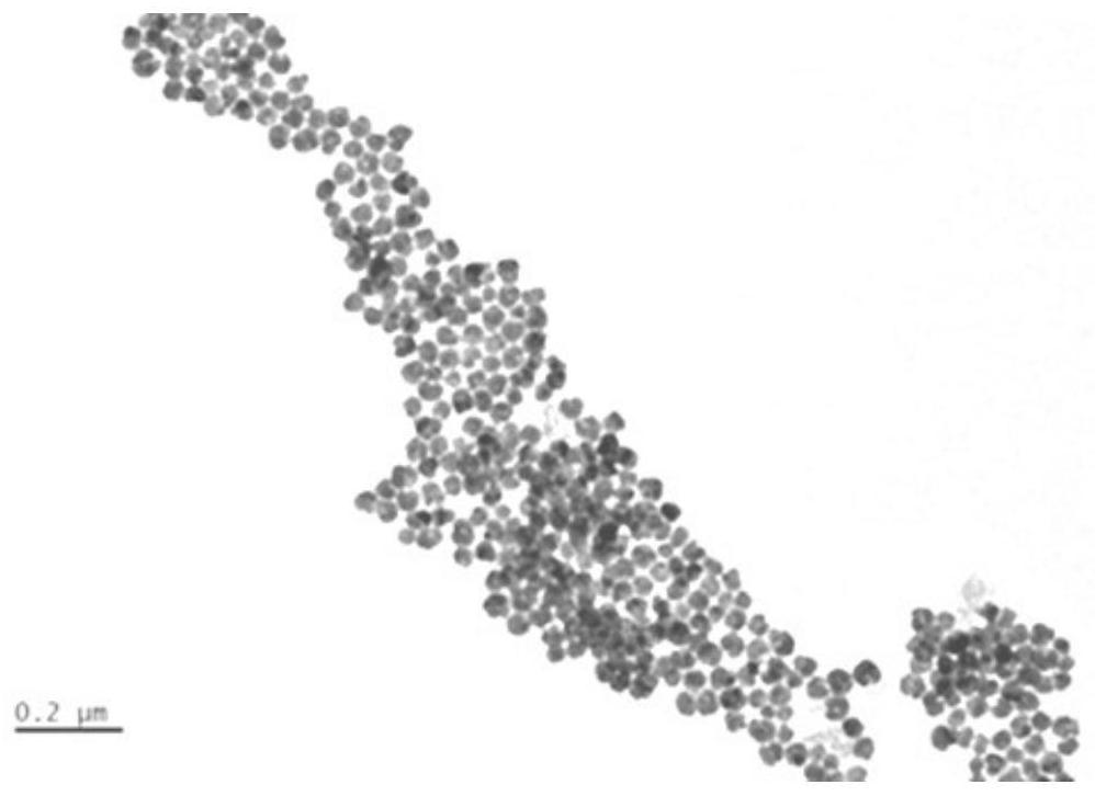 Method for rapidly preparing spherical mercury sulfide nanoparticles