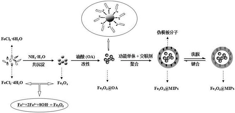 Pseudo template magnetic molecule imprinted polymer for pesticide residue detection of waterborne sample and application