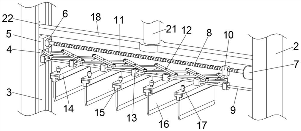 Dicing device for seafood processing