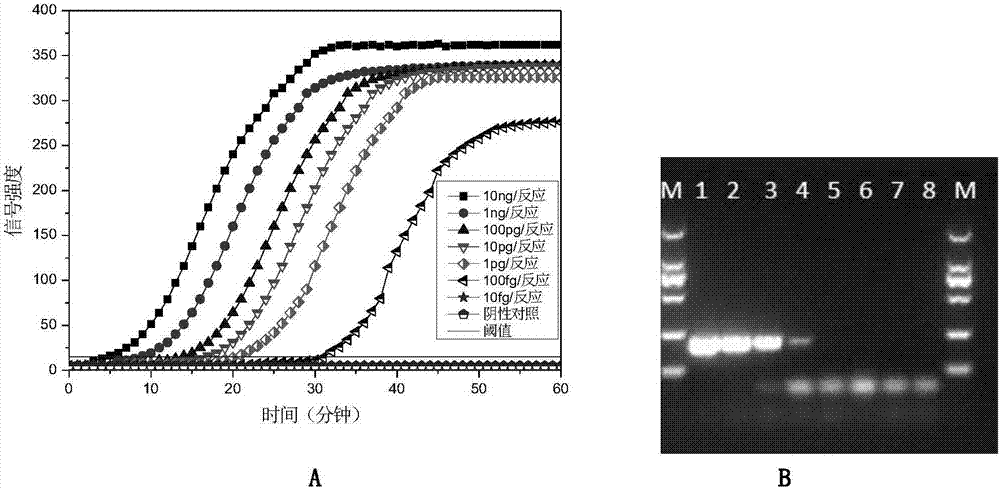 LAMP (loop-mediated isothermal amplification) primer combination for detecting six respiratory viruses, and application thereof