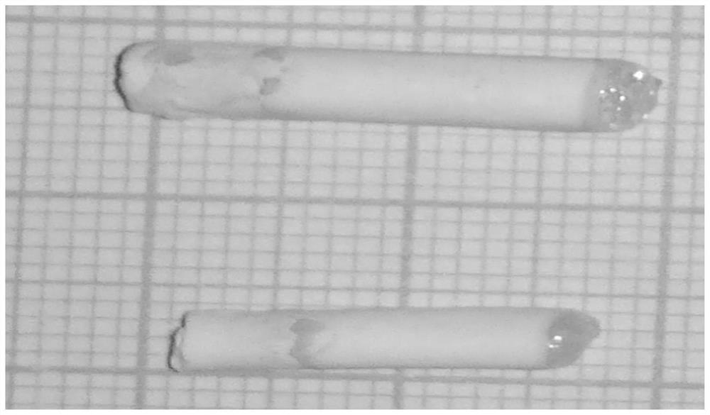 Hafnium oxide single crystal optical fiber and its preparation method and application