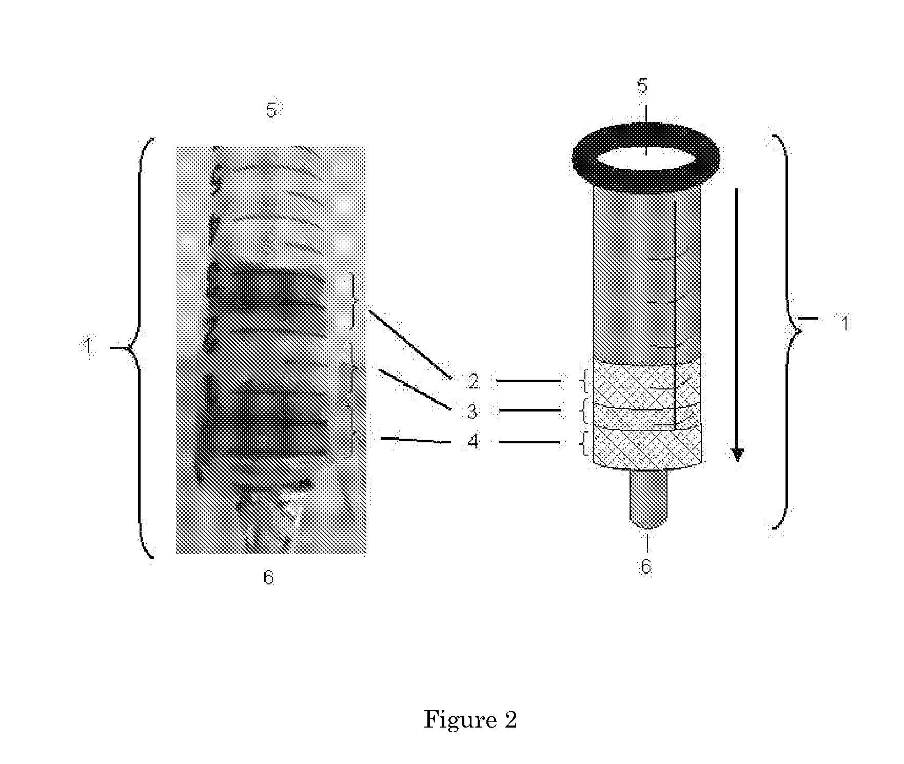 System for detecting microbial contamination