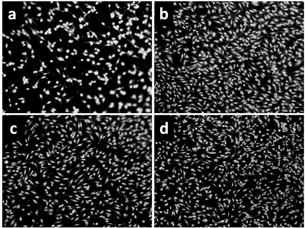 Antimicrobial coating composition, medical implant material containing antimicrobial coating and preparation method of medical implant material