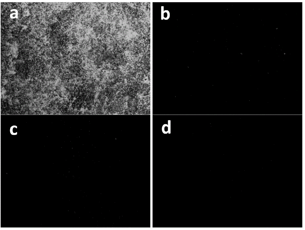 Antimicrobial coating composition, medical implant material containing antimicrobial coating and preparation method of medical implant material