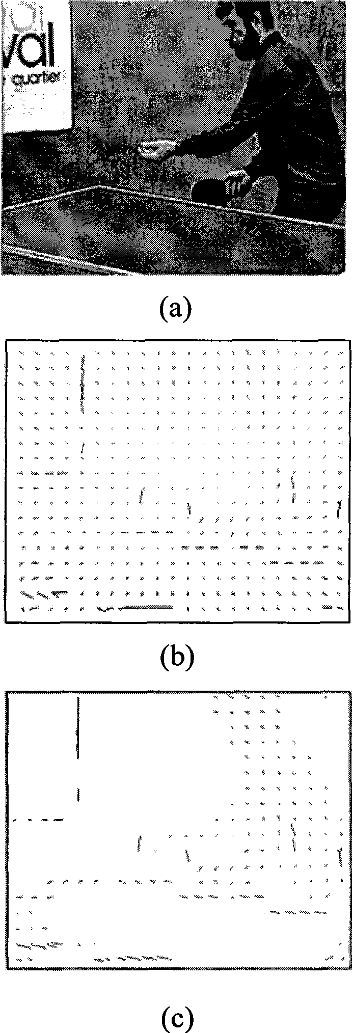 Quick global motion estimation method based on motion vector cancellation and differential principle