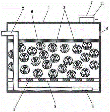 Biological coupled nitrogen and phosphorus removed sewage purification and regeneration treatment method and system