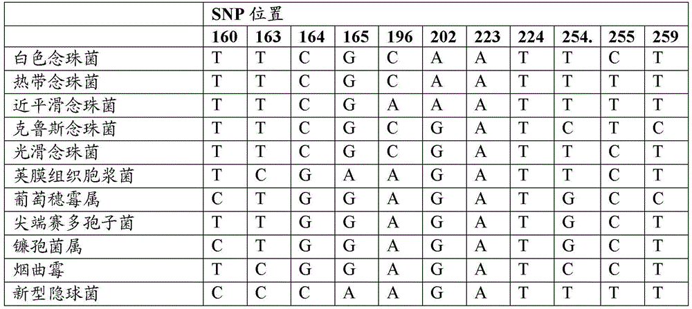 Microbial markers and uses therefor