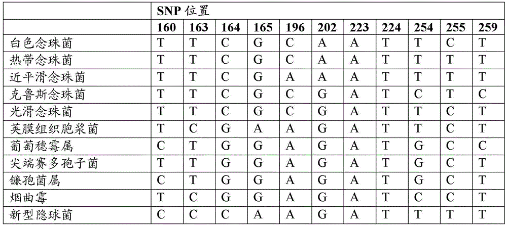 Microbial markers and uses therefor