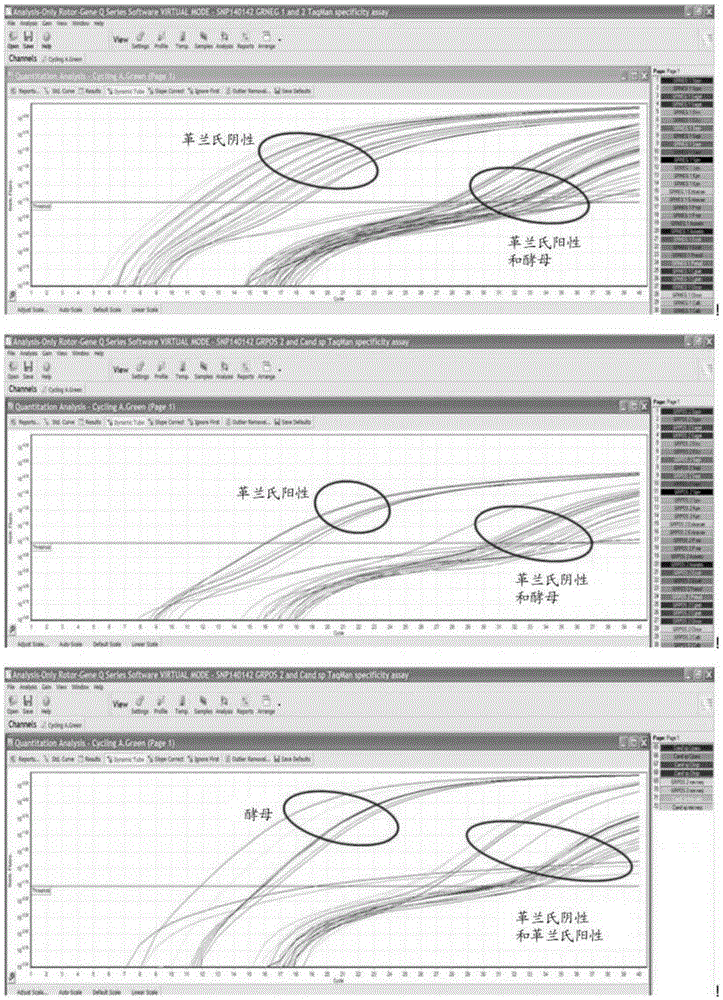 Microbial markers and uses therefor