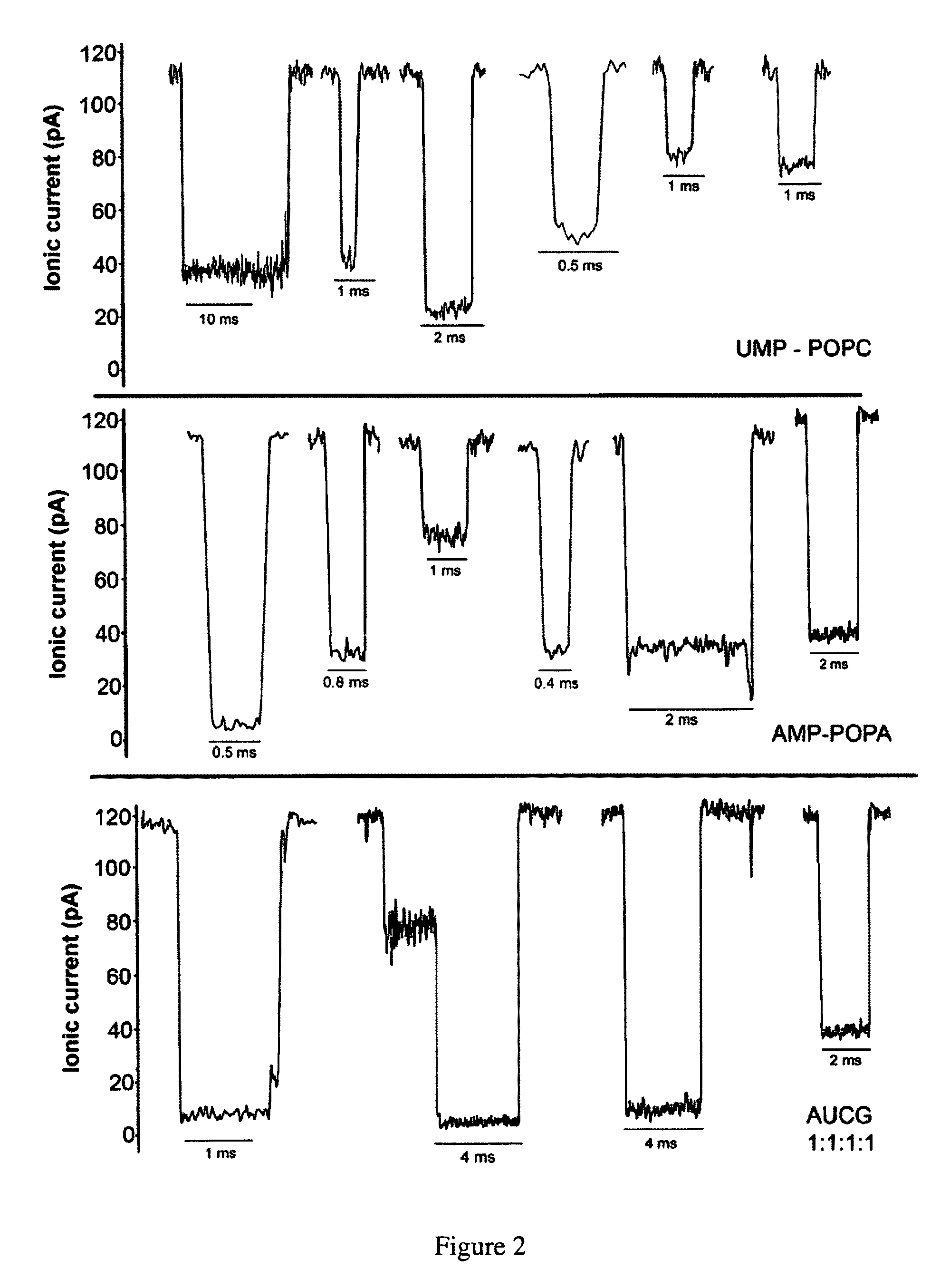 Lipid-assisted synthesis of polymer compounds and methods for their use