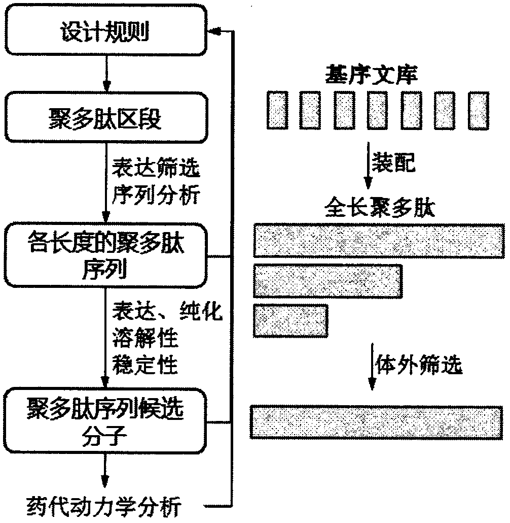 Recombinant polypeptide and its application