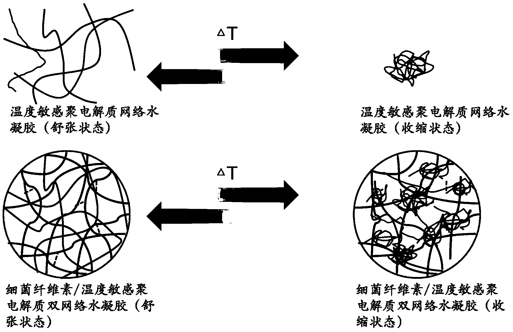 Stimuli-responsive composite material made from bacterial nano cellulose as well as preparation method and application of stimuli-responsive composite material