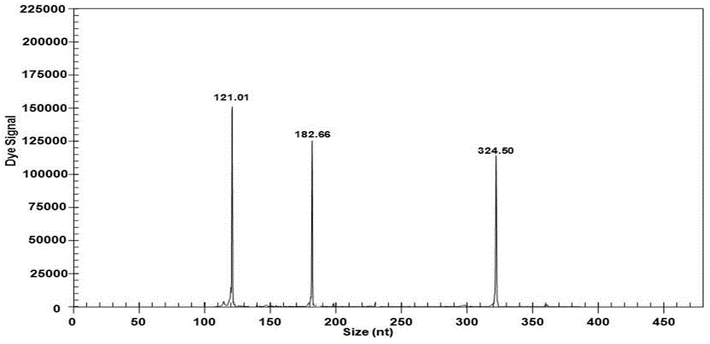 GeXP rapid detection kit for identifying eight types of porcine viral diseases and primer group thereof