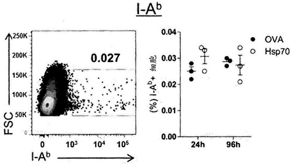 Composition and method for ex vivo immunomodulation and/or preservation of organs, methods and use