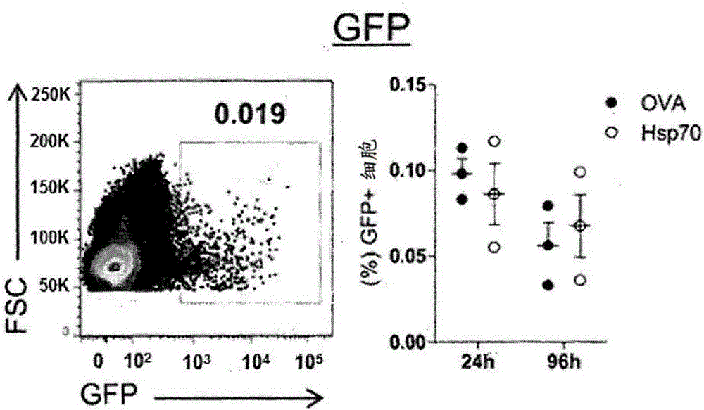 Composition and method for ex vivo immunomodulation and/or preservation of organs, methods and use