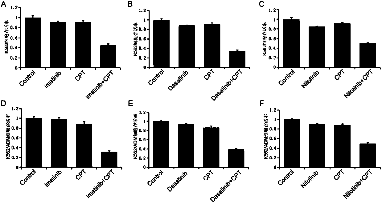 Cryptotanshinone pharmaceutical composition and application thereof in preparation of CML (chronic myeloid leukemia) treatment drug