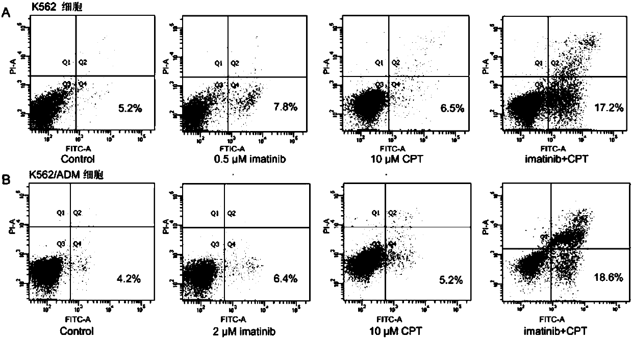 Cryptotanshinone pharmaceutical composition and application thereof in preparation of CML (chronic myeloid leukemia) treatment drug