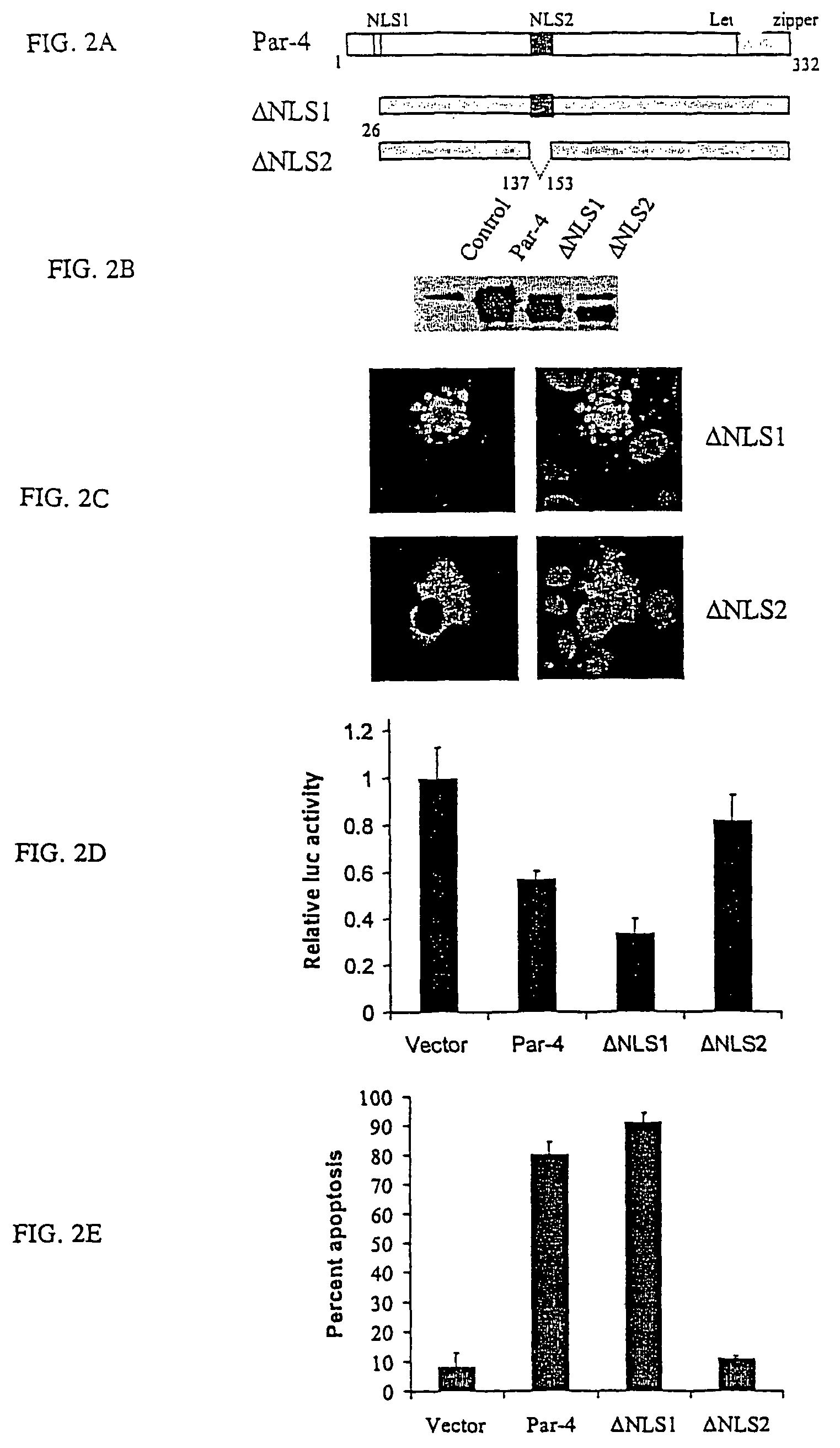 Identification of a unique core domain of Par-4 sufficient for selective apoptosis induction in cancer cells