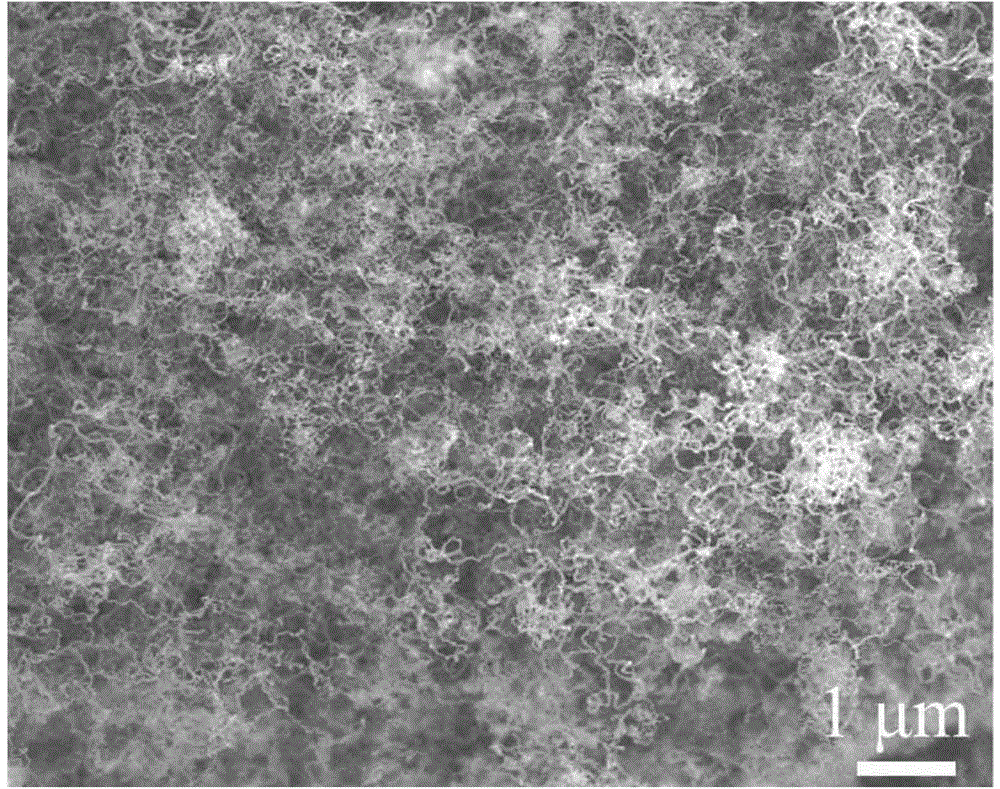 Method for preparing flexible stannous oxide nano sheet/carbon nanotube-graphene three-dimensional composite material