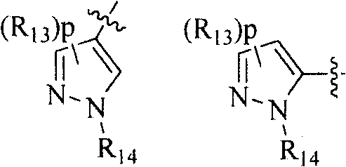 Amide-type compound as well as preparation method and application thereof