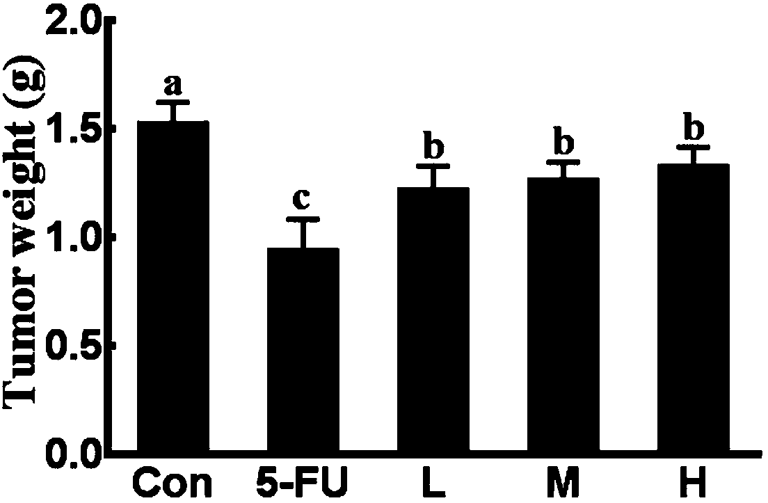 Antitumor application of apios americana flower ethanol extract