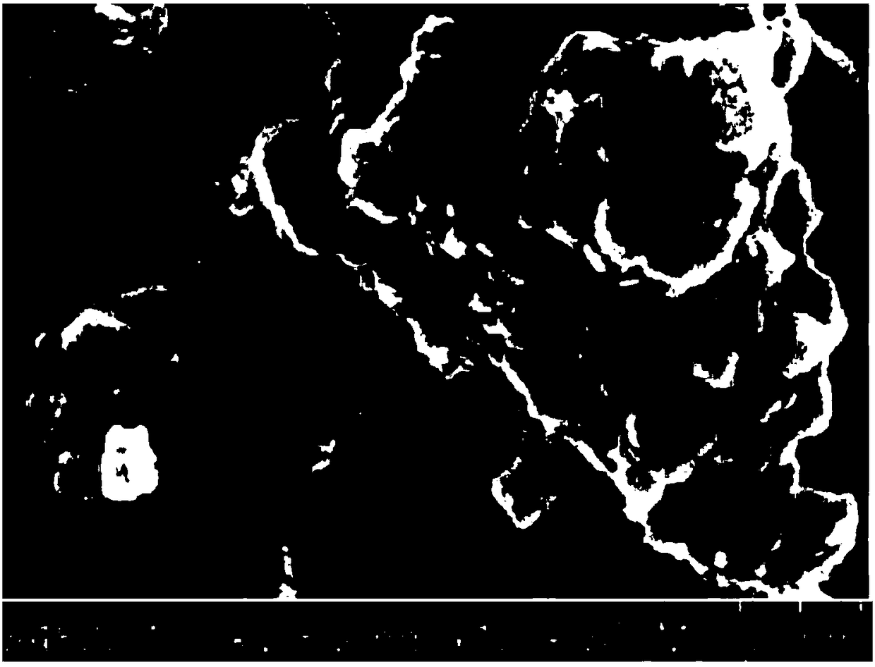 Preparation method for silicon dioxide supported cationic alkyl polyglucoside type pour depressant of crude oil