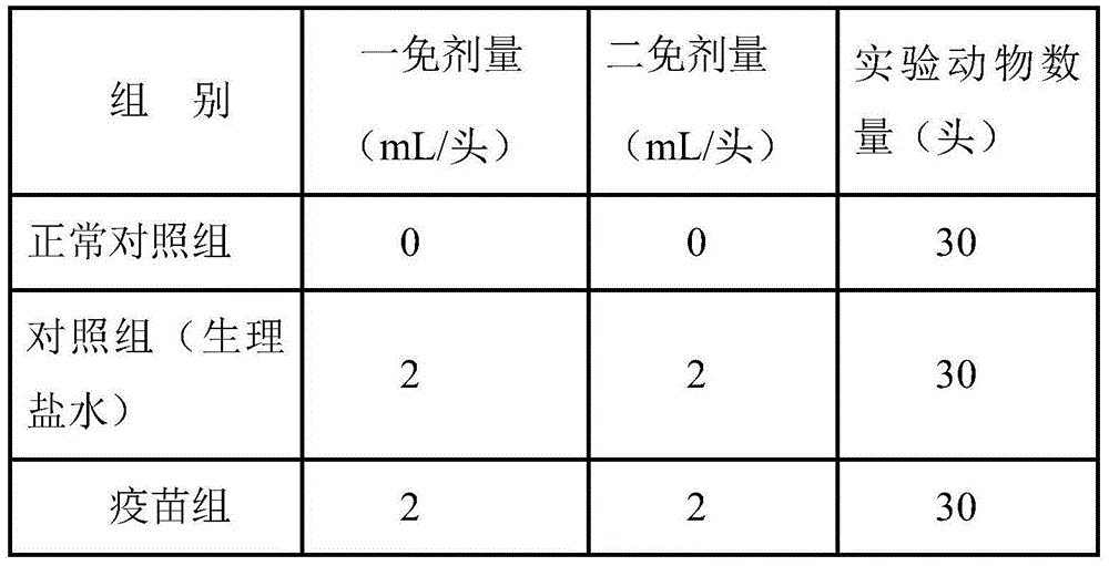 Preparation method, formula and use method of bovine mycoplasma pneumonia inactivated vaccine