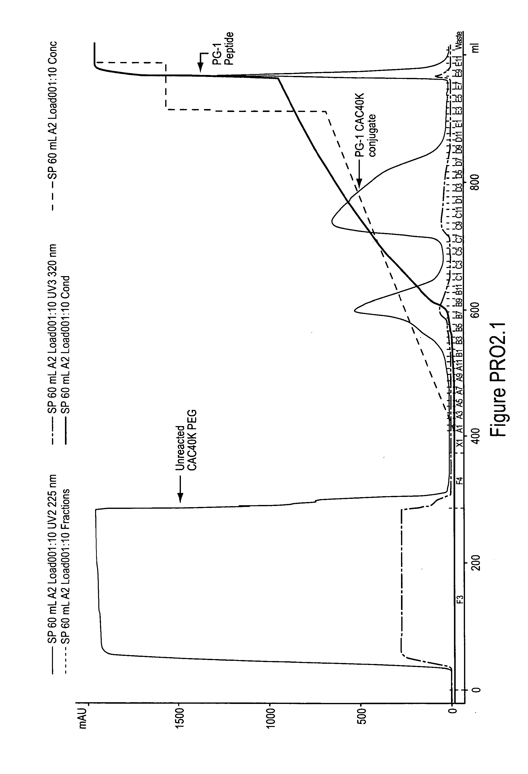 Polymer conjugates of protegrin peptides