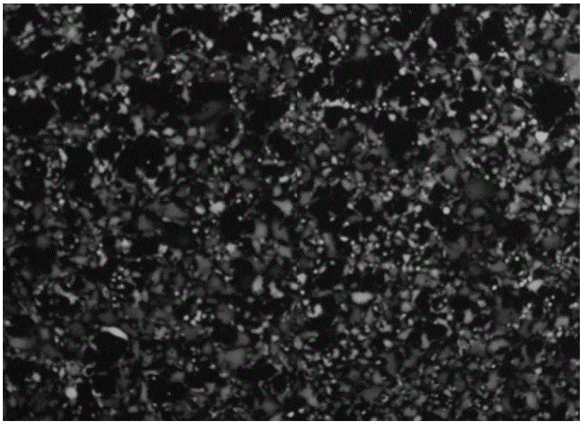 CD86-based membrane fixed protein, and preparation method and application thereof