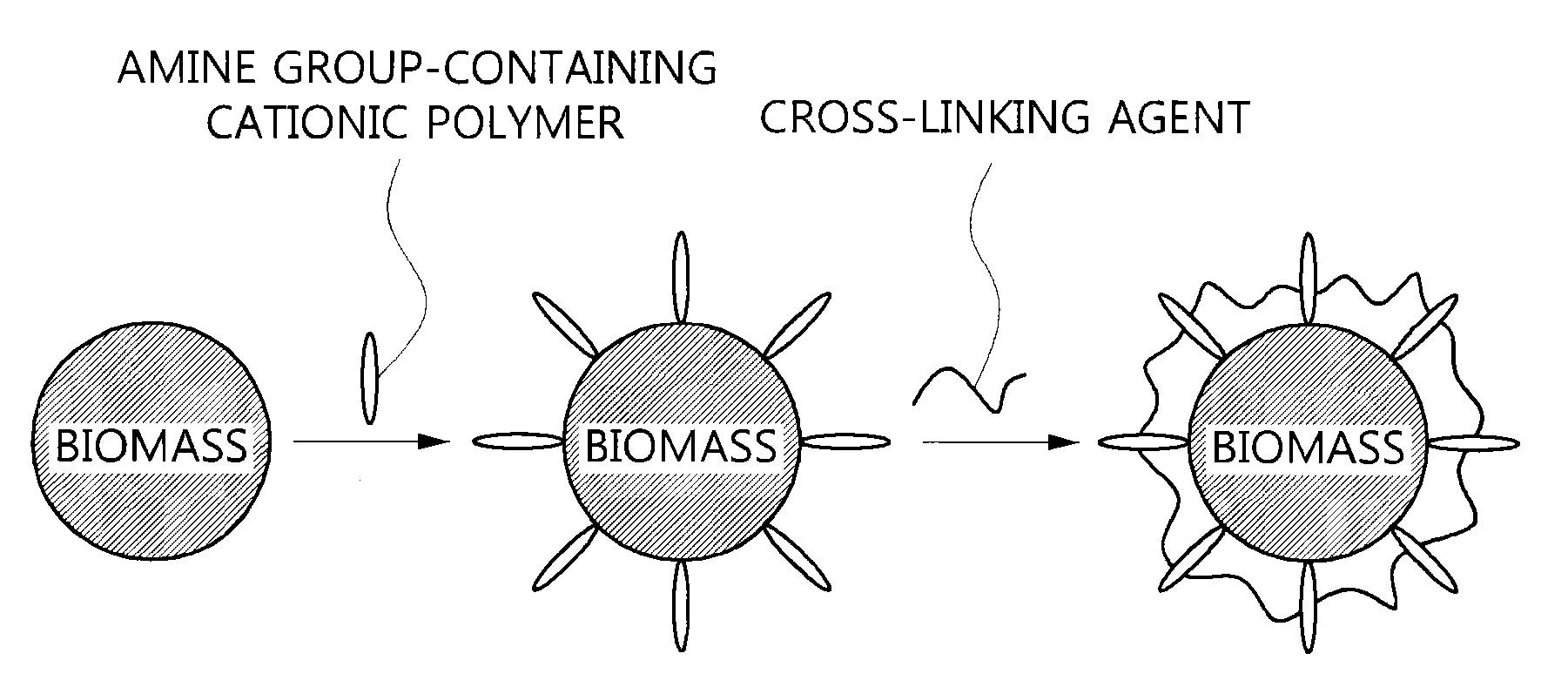 Surface-modified biomass, preparation method thereof, and method for recovering valuable metals using the same