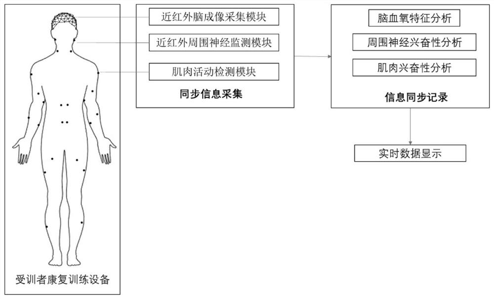 Rehabilitation monitoring system and method based on near-infrared brain imaging