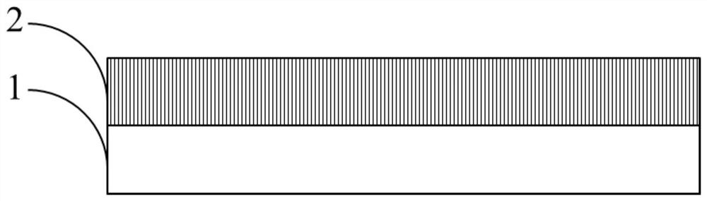 Lithium negative electrode, preparation method and application thereof